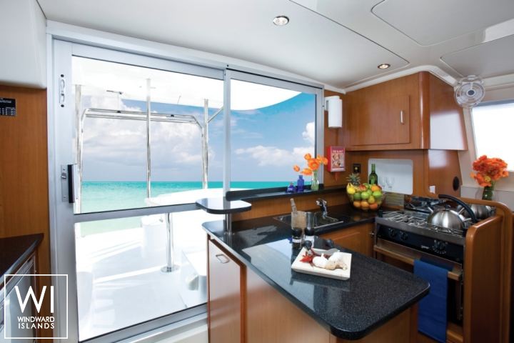 
																Leopard  384																 2