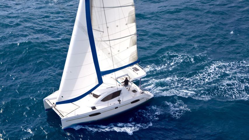 
																Leopard  384																 0