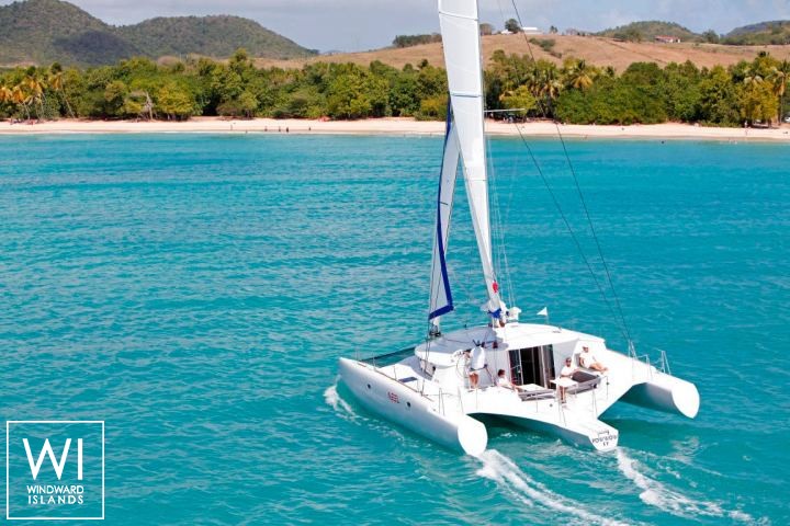 
																Neel 45																 1