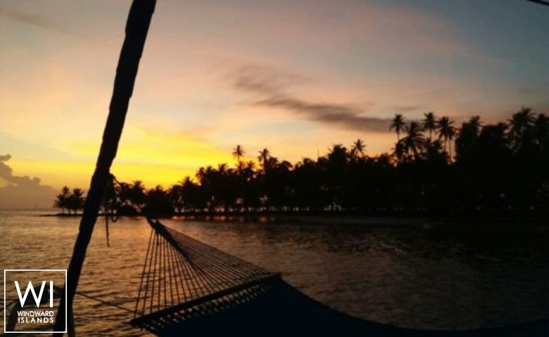 
																ZENITH 																 5