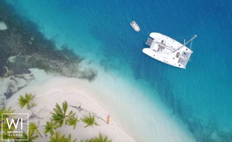 
																VIP ONE																 1