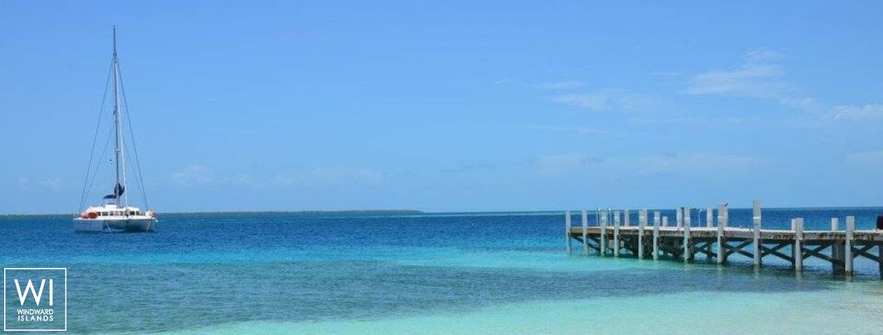 
																Sandstar																 5