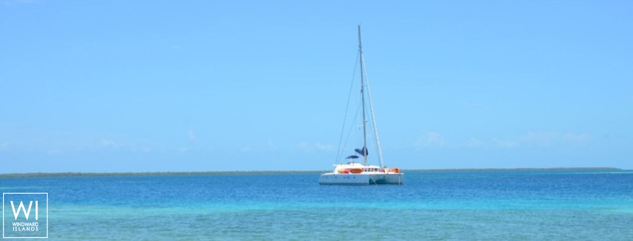 
																Sandstar																 6