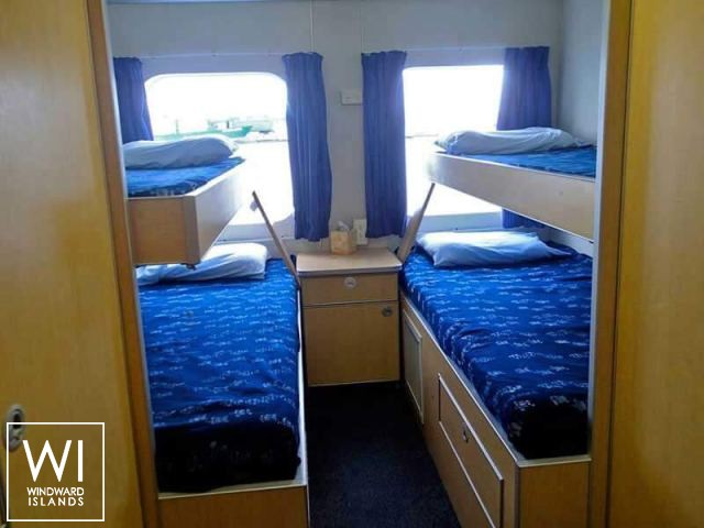 
																Aqua Cat																 4