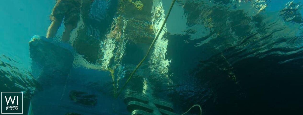 
																Aqua Cat																 5