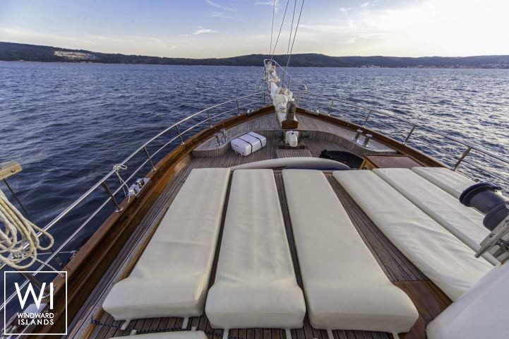 
																Libra																 5