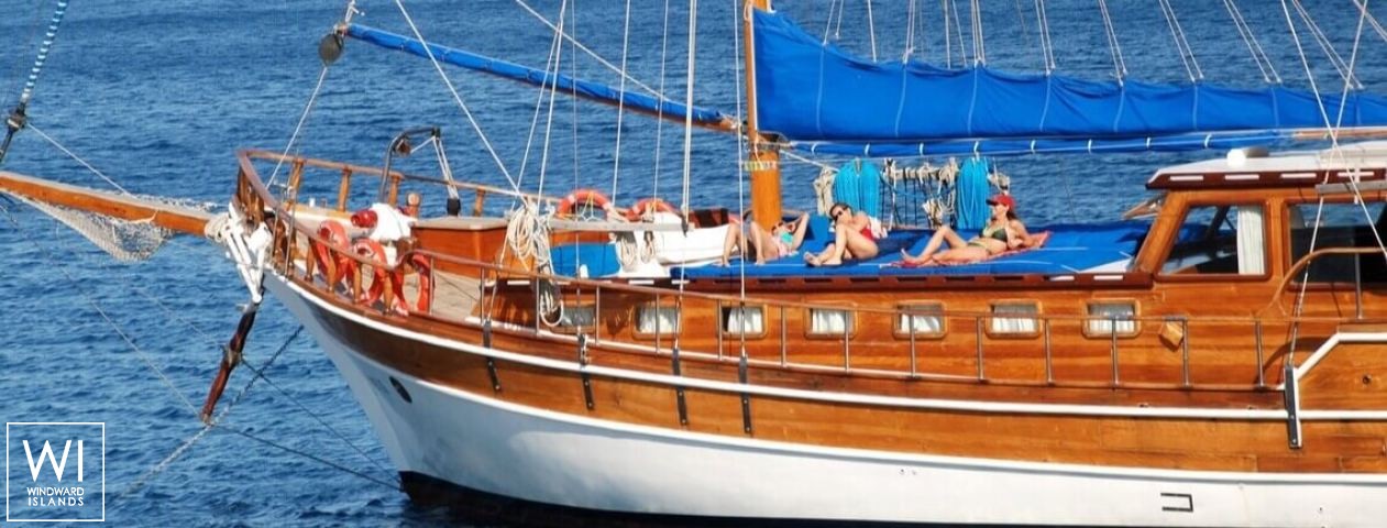 
																Syrolana																 2