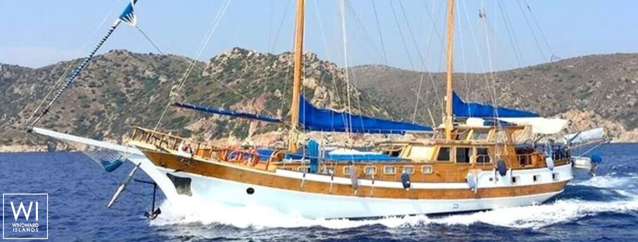 
																Syrolana																 3