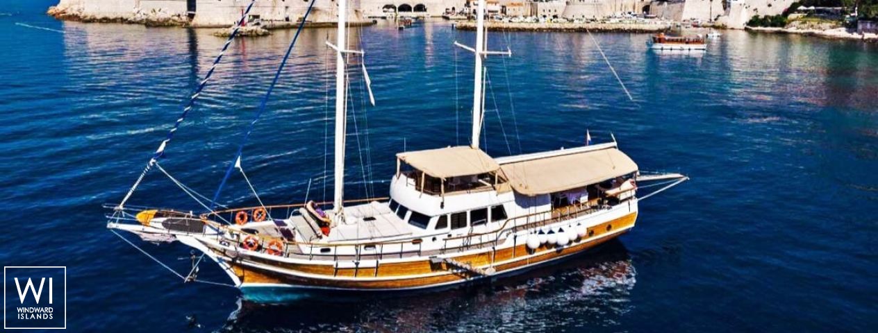 
																SIRENA																 6