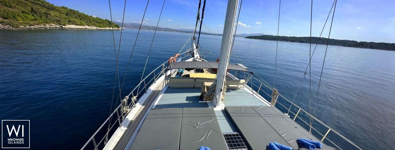 
																SIRENA																 3