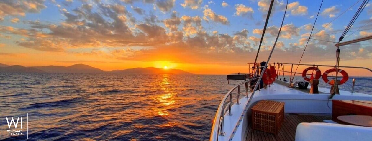 
																 Perla Del Mar																 6