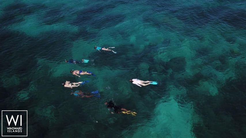 
																Sèsame																 5