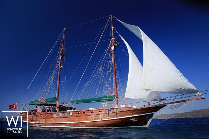 
																Galip Nur																 1