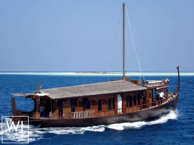 
																DHONI STELLA																 6