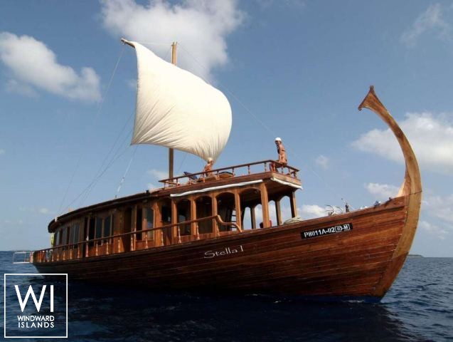 
																DHONI STELLA																 0