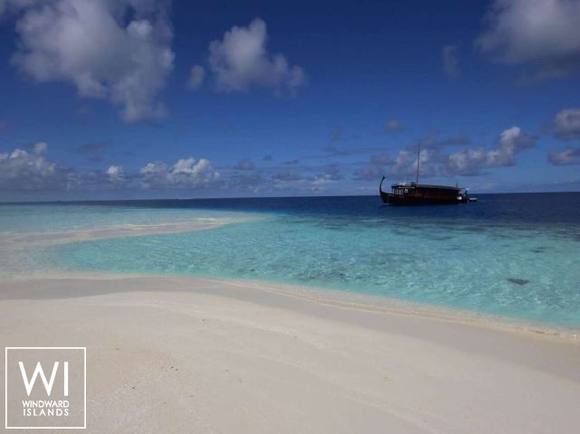 
																DHONI STELLA																 3