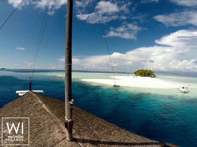 
																DHONI STELLA																 4