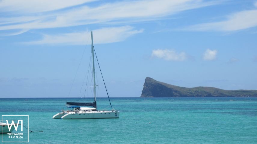 
																Turquoise																 1