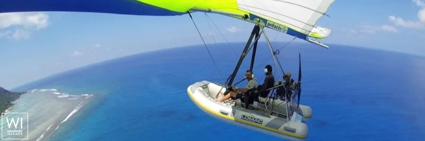 
																TURQUOISE																 5