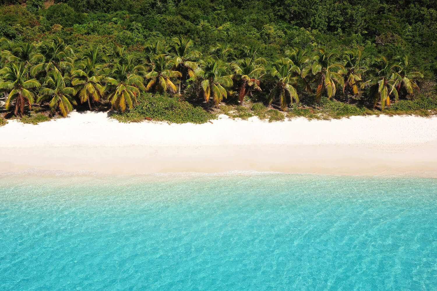 Palm beach British Virgins Islands 