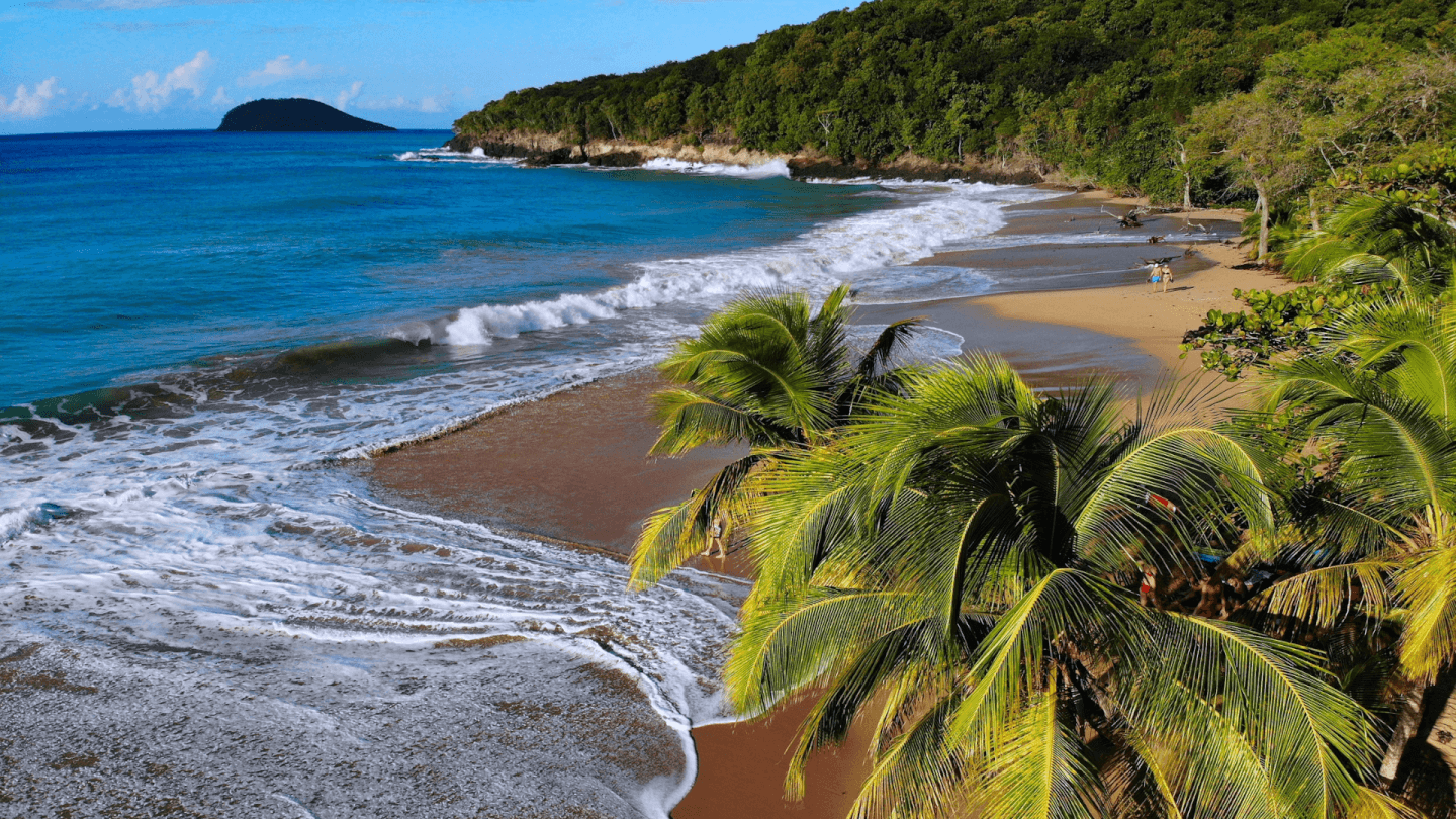 Yacht Charter Guadeloupe