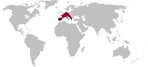 Mediterranean
