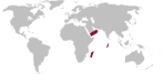 Indian Ocean